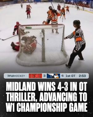 Image post by @hockeyhousepod on Instagram