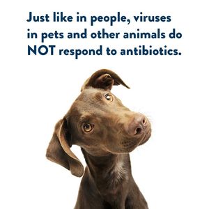 Image post by @mnhealth on Facebook