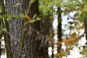 Image post by @psuoutreach on Instagram