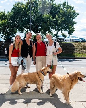 Image post by @cornellfieldhockey on Instagram