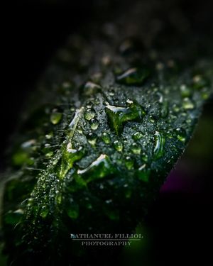 Image post by @lathanuelf_photos on Instagram