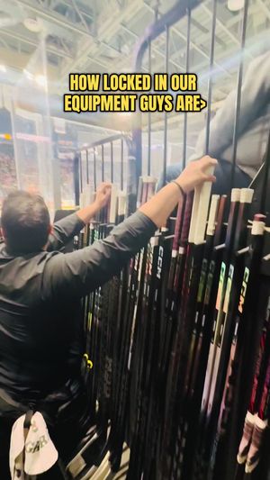 Video post by @chiwolves on TikTok