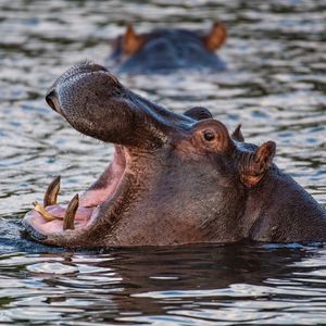 Image post by @bbcearth on Instagram