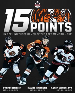 Image post by @TheWHL on Twitter