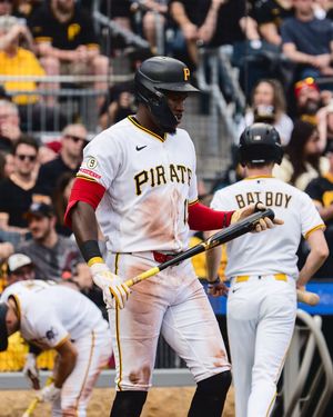 Image post by @lizardskinsbaseball on Instagram