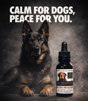 Image post by @drhempdog on Instagram