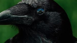 Video post by @thechainsmokers on YouTube