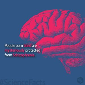 Image post by @prsciencetrust1 on Instagram