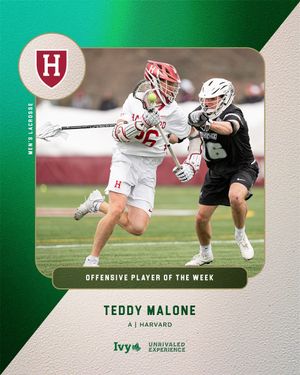 Image post by @ivyleague on Instagram