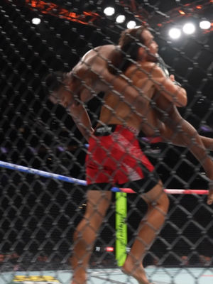 Video post by @ufc on TikTok