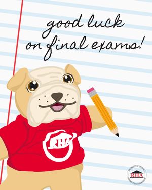 Image post by @ugarha on Instagram