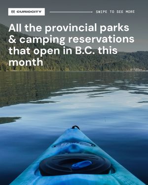 Image post by @curiocityvancouver on Instagram