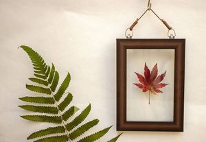 Image post by @leafyaffair on Instagram