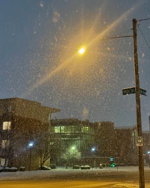Image post by @marshallulife on Instagram