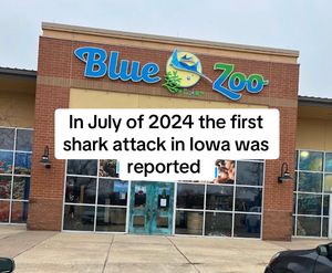Video post by @iowachill on TikTok