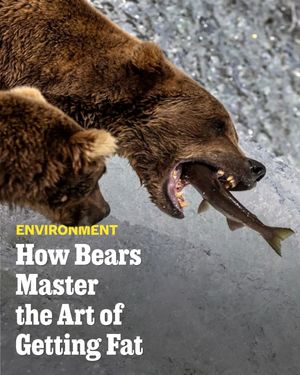 Image post by @outsidemagazine on Instagram