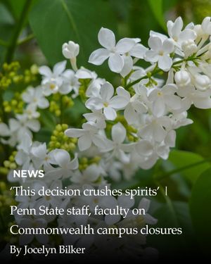 Image post by @dailycollegian on Instagram