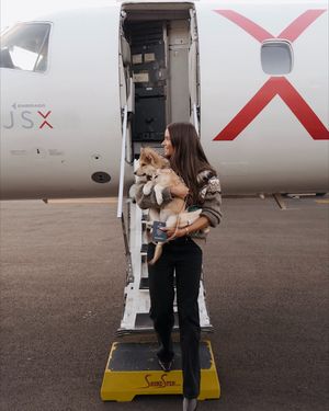 Image post by @flyjsx on Instagram