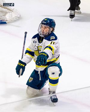 Image post by @merrimack_mih on Instagram