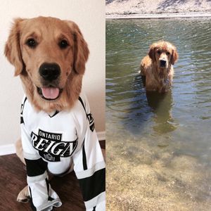 Image post by @ontarioreignhockey on Instagram