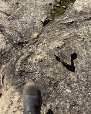 Image post by @blundstoneusa on Instagram