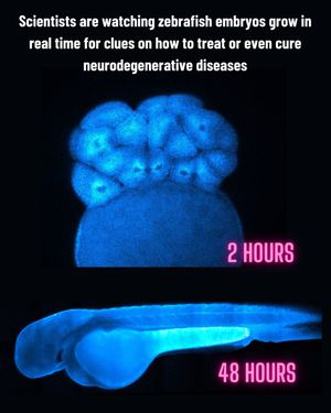 Image post by @biohub on Instagram
