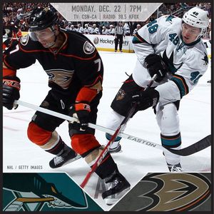Image post by @sanjosesharks on Instagram