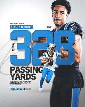 Image post by @panthers on Instagram