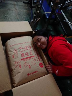 Image post by @satomurameiko on Twitter