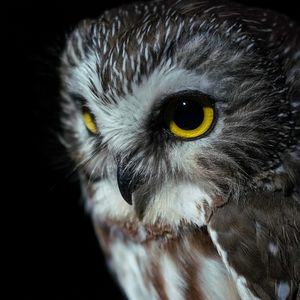 Image post by @hm_birds on Instagram