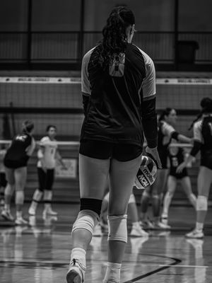 Image post by @trolley_studios on Instagram