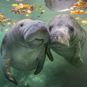 Image post by @discovery on Instagram