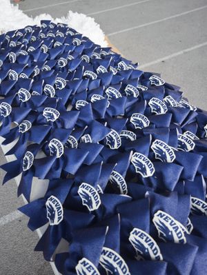 Image post by @nevadacheerleading on Instagram