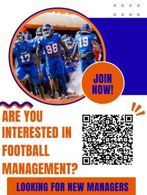 Image post by @savstatetigers on Instagram