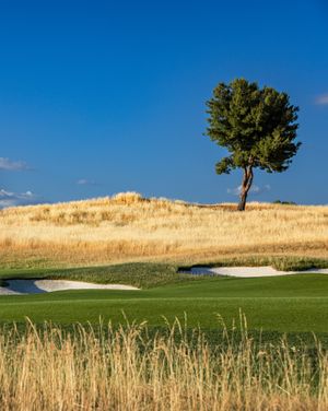 Image post by @marcosimonegolf on Instagram