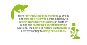 Image post by @rspb on Instagram