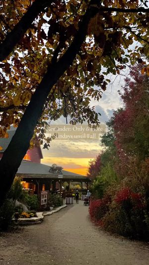 Video post by @candyjimenezzzzz on TikTok