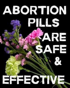 Image post by @shoutyourabortion on Instagram