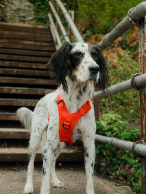 Image post by @mccabedesign on Instagram