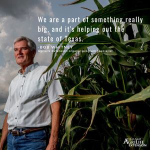 Image post by @txextension on Instagram