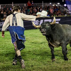 Image post by @ultimatebullfighters on Instagram
