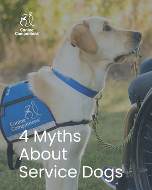 Image post by @canineorg on Instagram