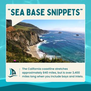 Image post by @longbeachseabase on Instagram