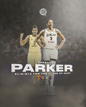 Image post by @Hoophall on Twitter