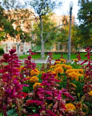 Image post by @uscdornsife on Instagram