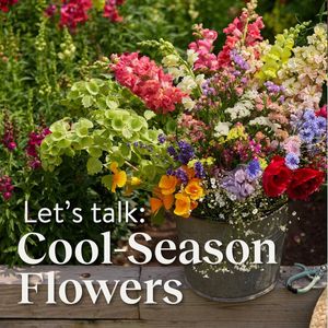 Image post by @burpeegardening on Instagram