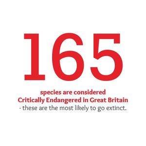 Image post by @rspb on Instagram