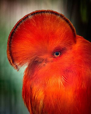 Image post by @sandiegozoo on Instagram