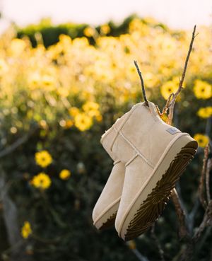 Image post by @ugg on Instagram