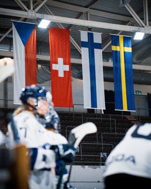 Image post by @leijonatfi on Instagram